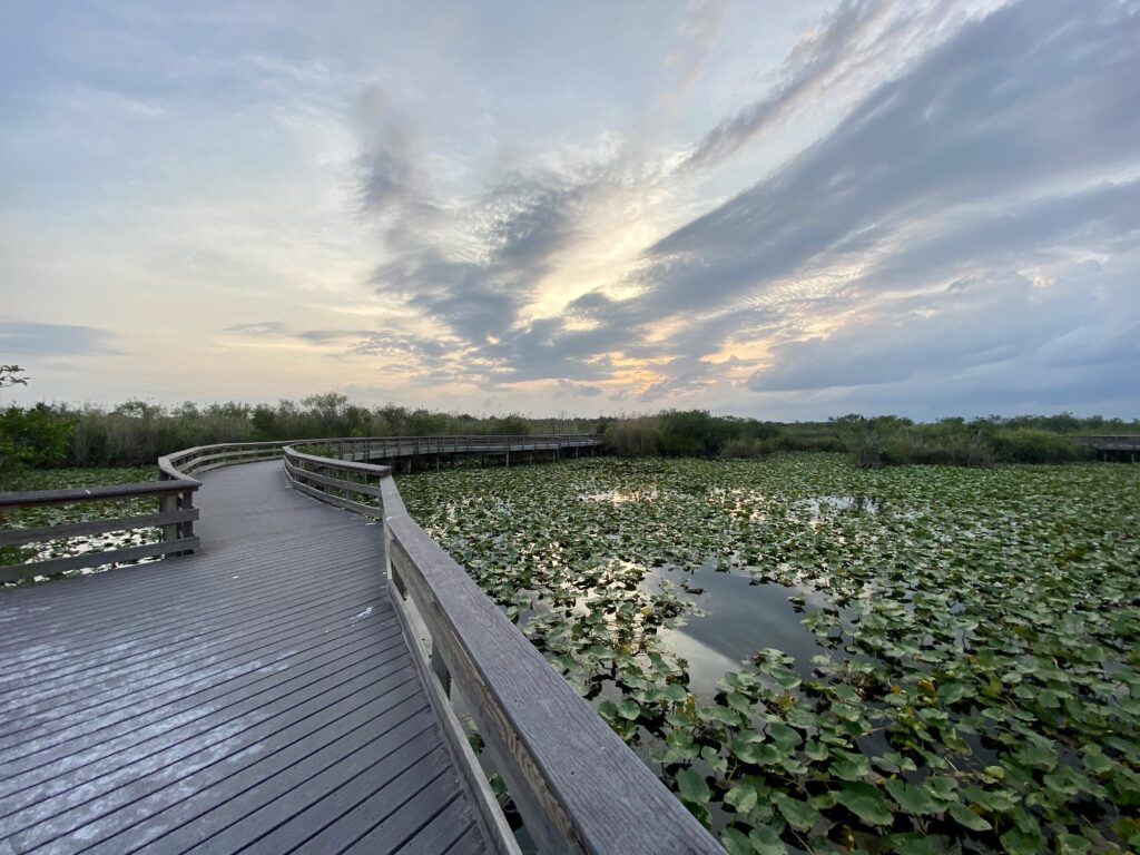 Passarela da Anhinga Trail atravessando área alagada do Everglades National Park