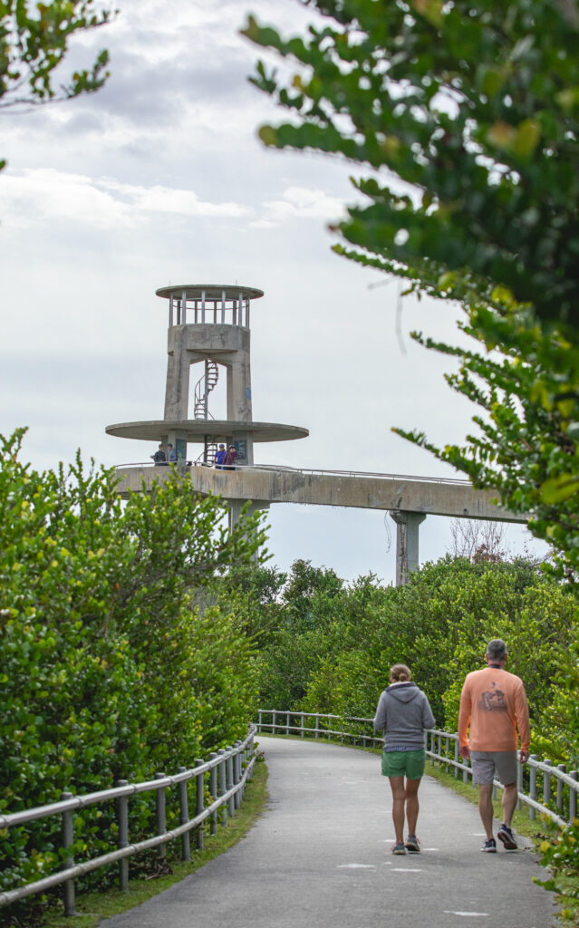 Observation Tower em Shark Valley no Everglades National Park na Flórida